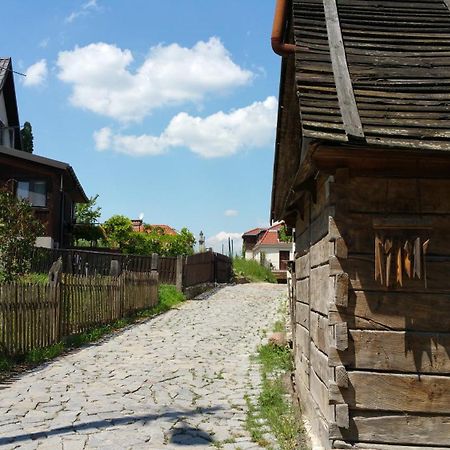 Apartament Stary Kazimierz - Apartamenty Pod Aniolem 卡齐米日-多尔尼 外观 照片